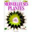 Merveilleuses plantes vignette