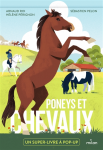 Poneys et chevaux vignette